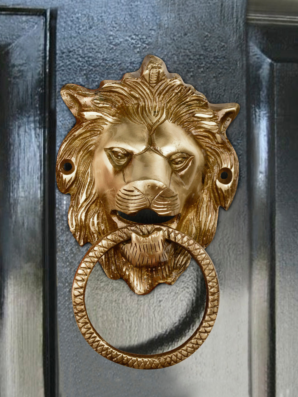 Door Knockers