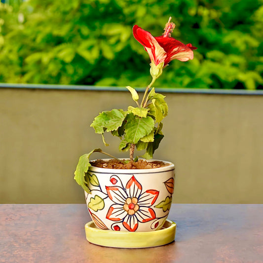 Hand Painted Ceramic Planter Pot with Tray (White and Green, Diameter - 9 cm, Height - 7 cm)