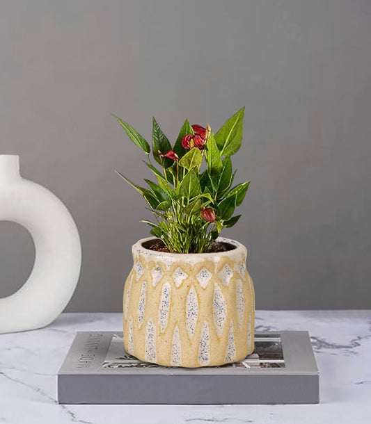 Hand Painted Dual Tone Ceramic Planter Pot (Beige and Blue, Diameter - 8 cm, Height - 8 cm)