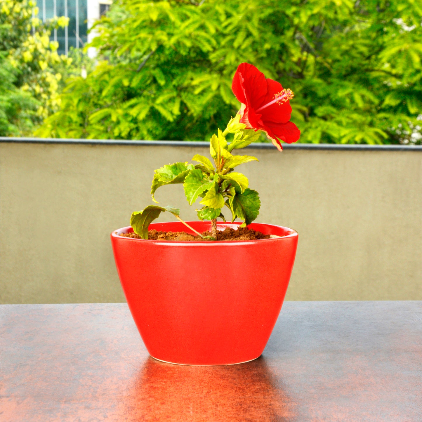 Hand Painted Ceramic Planter Pot (Red, Diameter - 15 cm, Height - 10 cm)