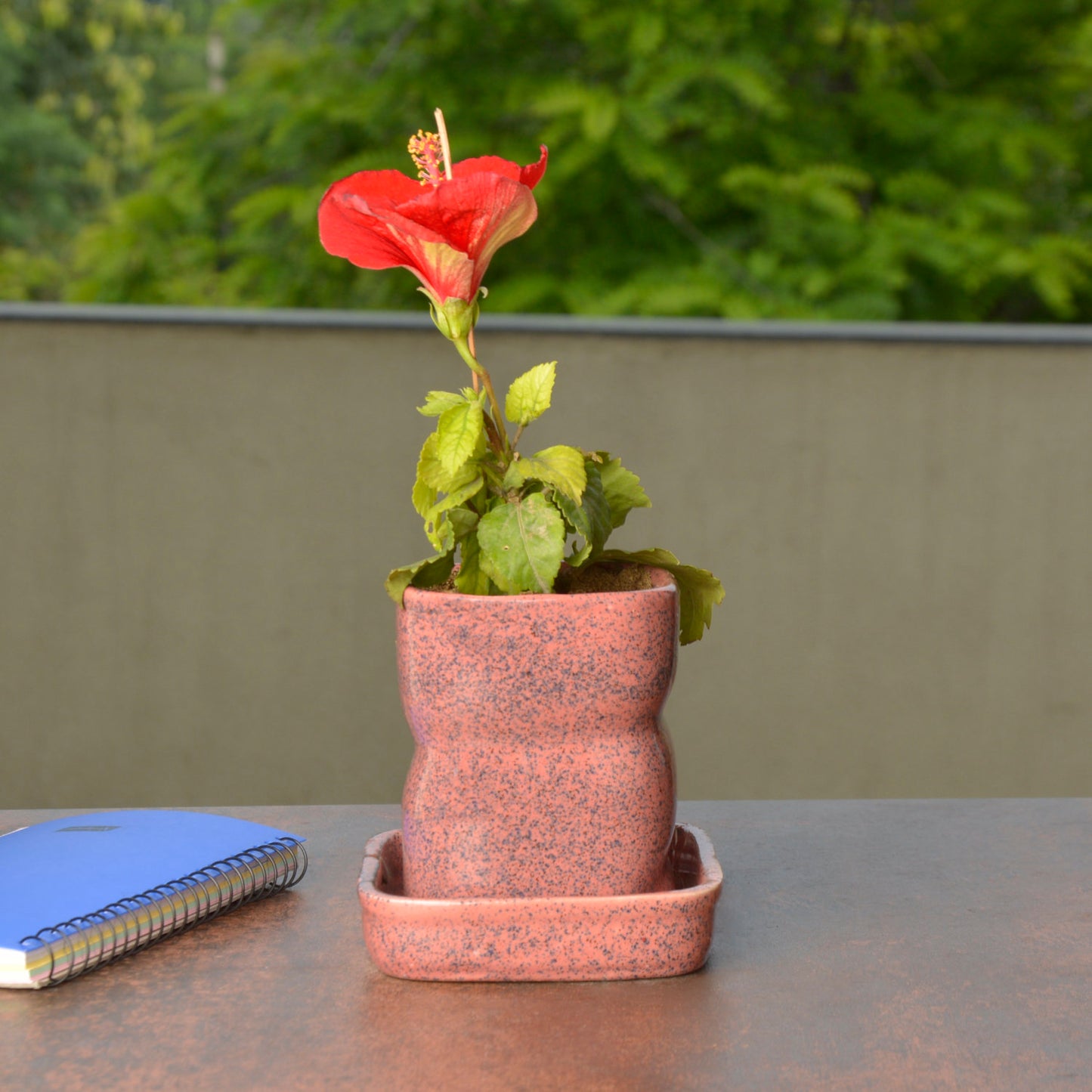 Hand Painted Ceramic Planter Pot with Tray (Peach and Blue, Diameter - 8 cm, Height - 10 cm)
