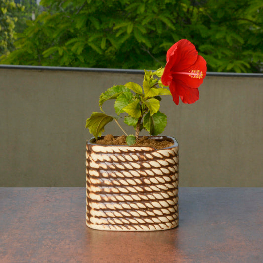 Hand Painted Ceramic Planter Pot (Beige and Brown, Diameter - 10 cm, Height - 10 cm)