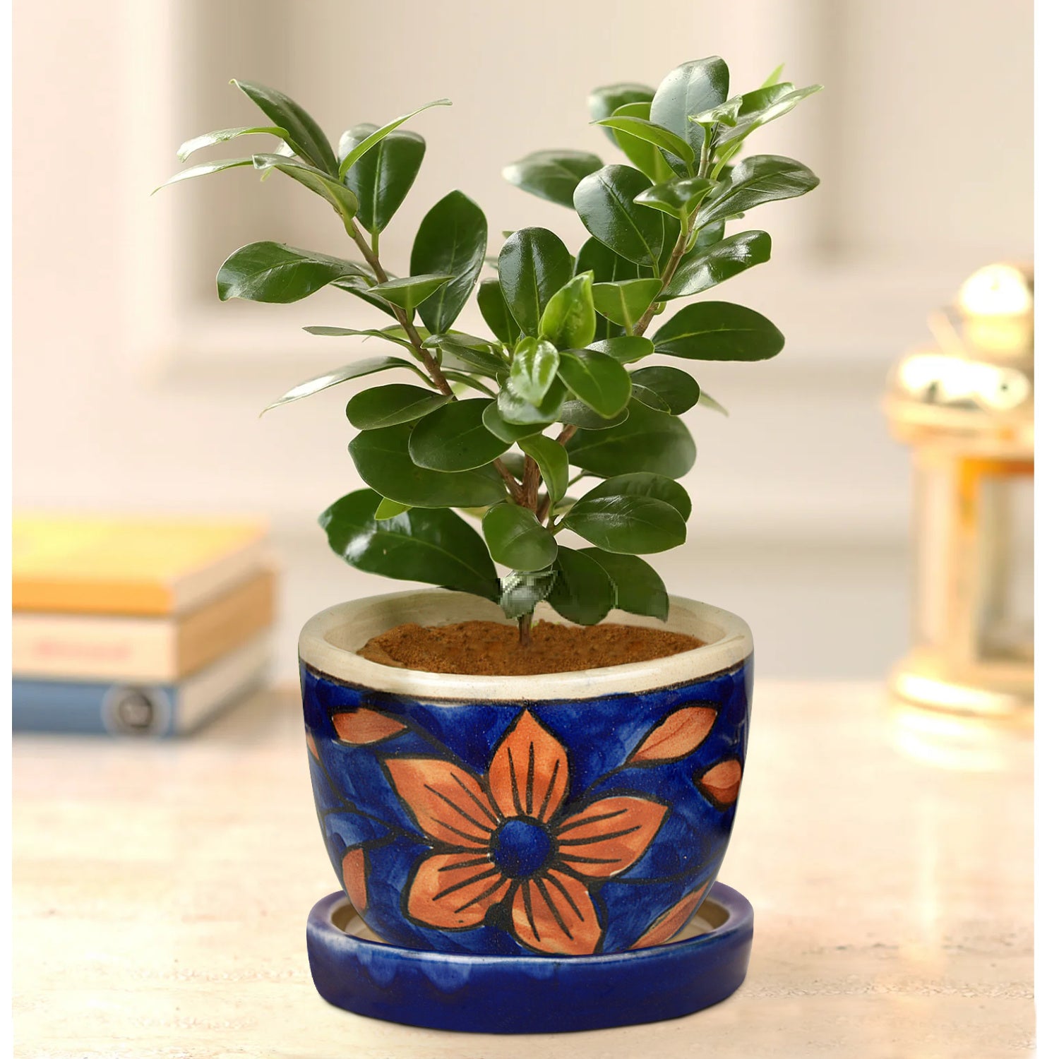 Hand Painted Ceramic Planter Pot with Tray (Blue and Brown, Diameter - 9 cm, Height - 7 cm)