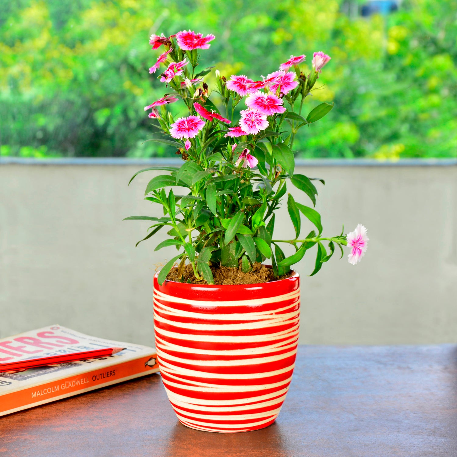 Handpainted Ceramic Striped Planter Pot (Red, Diameter – 10 cm, Height – 11 cm)