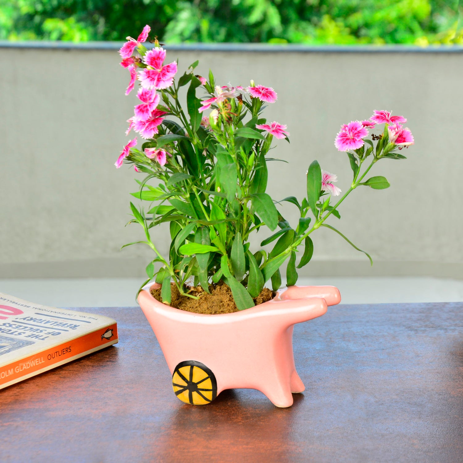 Handpainted Ceramic Pushing Cart Planter Pot (Light Pink, L x B x H – 14 cm x 6 cm x 8 cm)