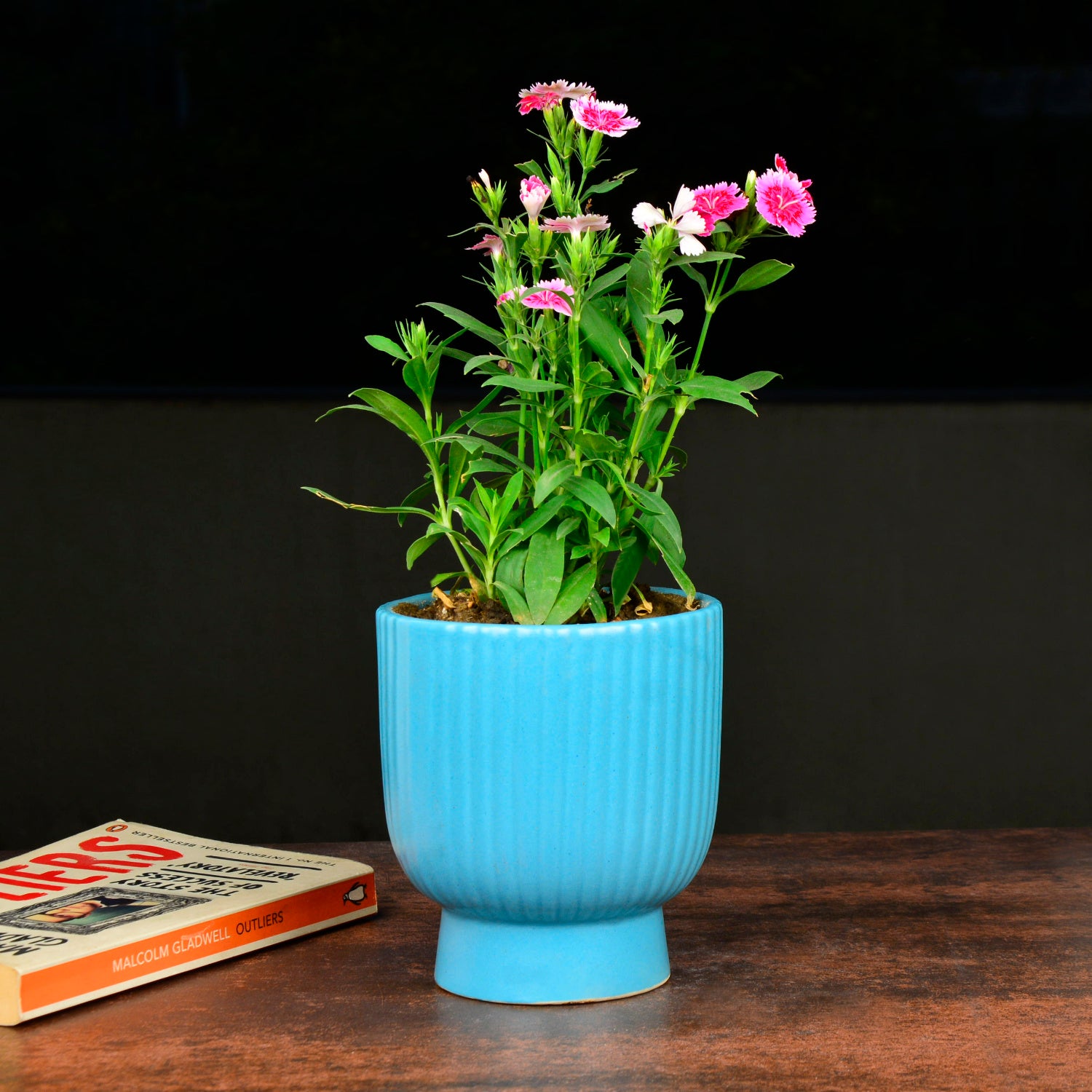 Ribbed Ceramic Planter Pot (Blue, Diameter – 11.5 cm, Height – 13.5 cm) - View 3