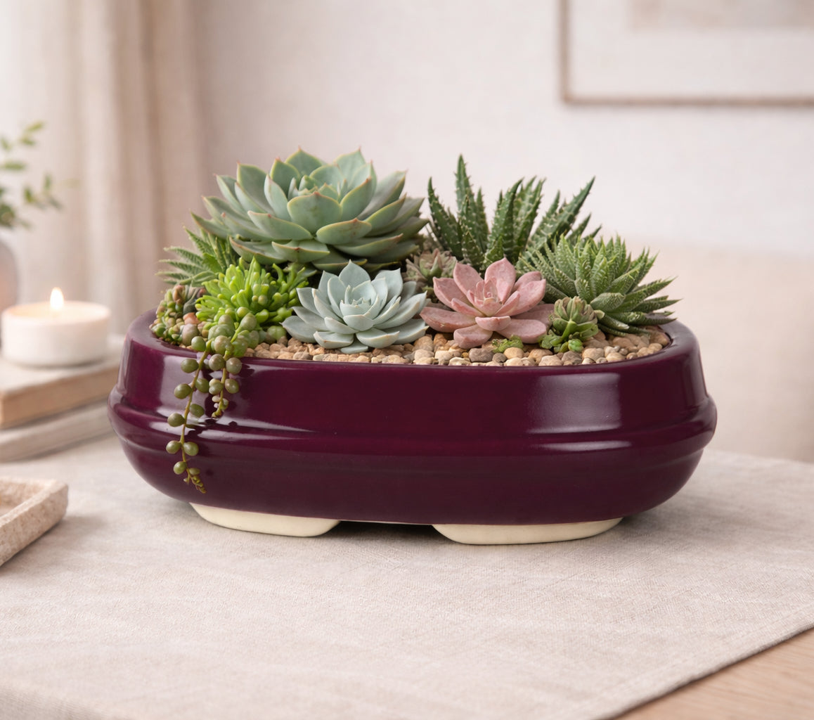 Ceramic Oval Bonsai Planter Pot (Maroon, L x B x H – 19 cm x 13 cm x 7 cm) - View 3