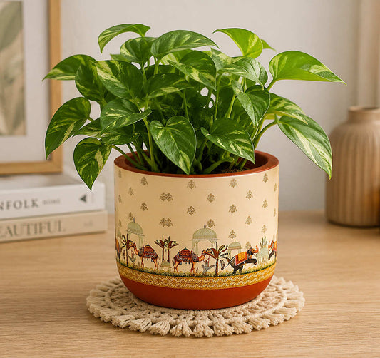 Hand Painted Terracotta Planter Pot with Drain Hole