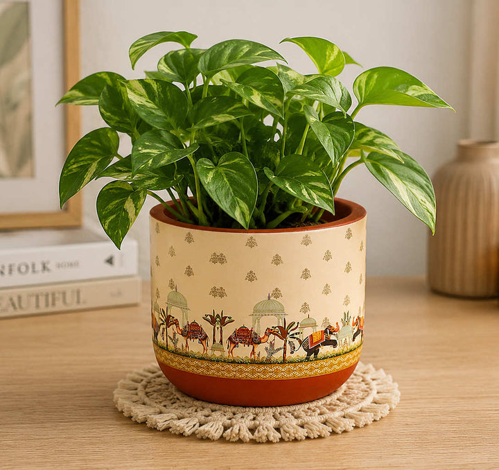 Hand Painted Terracotta Planter Pot with Drain Hole