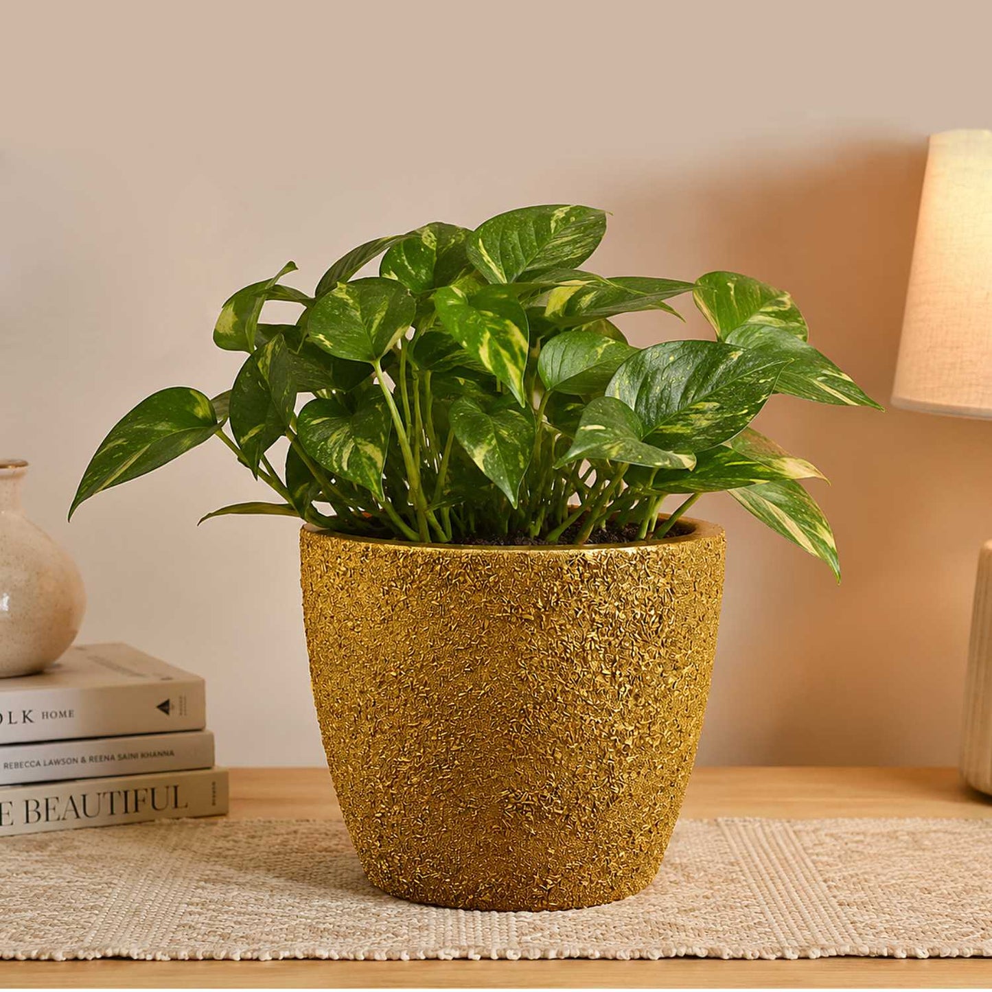 Gold Textured Terracotta Planter Pot with Drain Hole